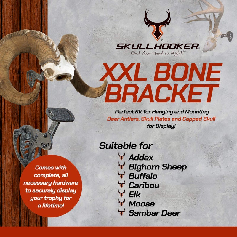 Skull Hooker Powder-Coated Steel XXL Bone Bracket â€“ Designed to Accommodate the Skull Plates of Antlered and Horned Species Such as Elk, Caribou, Buffalo, Moose and Heavy-Horned Sheep,Graphite Black - Image 5